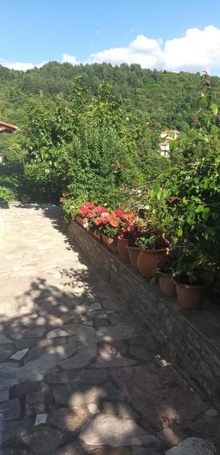 Appartement Το Σπίτι Της Ευτυχίας Σουίτα à Karpenísion Extérieur photo